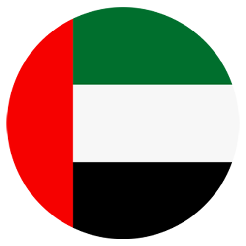 UAE flag